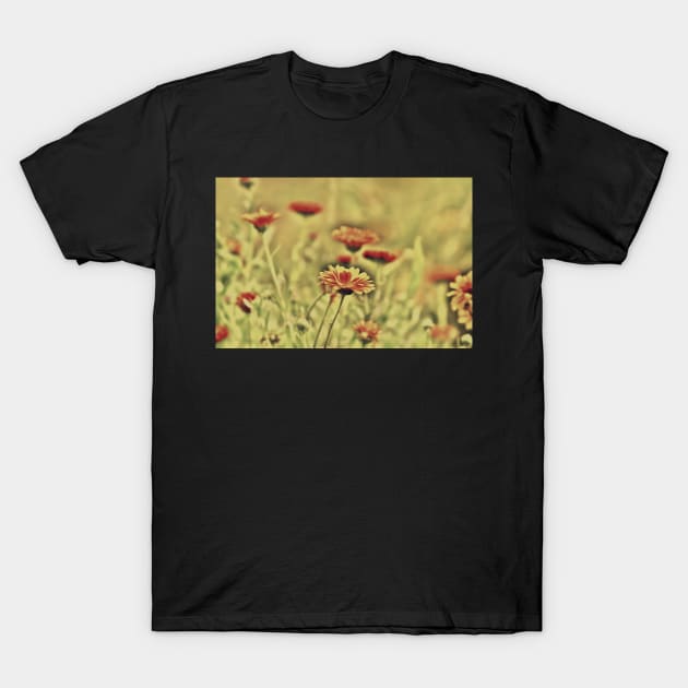 Marigold field, nostalgic altered photography T-Shirt by KINKDesign